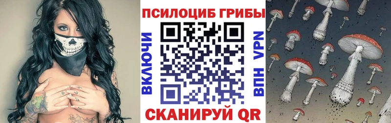 купить наркотик Камызяк Галлюциногенные грибы Psilocybe
